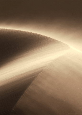 Dune, désert univers Matins du monde
